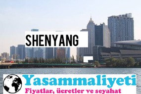 Shenyang.jpgmaaşlar