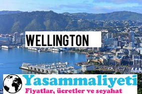 Wellington.jpgmaaşlar